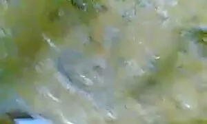 বাঁড়ার রস খাবার, বাংলা চোদা চুদী ব্লজব, ব্লজব