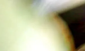 স্বামী ও স্ত্রী, চুদ চুদী