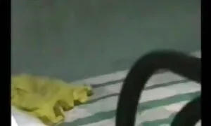 চুম্বন, স্বামী ও স্ত্রী বালা চুদাচুদী