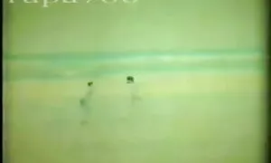 ভাই বোন সেক্স ভিডিও চুদাচুদী ভিডিও
