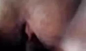 স্বামী বাংলার চুদাচুদী ও স্ত্রী, দুর্দশা,