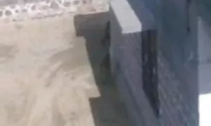 বাদামি মেয়ের, ডগী-স্টাইল বাংলা চুদা চুদী ভিডিও
