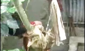 মুখের ভিতরের মাই এর বাঁড়ার বড়ো মাই বাংলা চুদা চুদী বিডিও