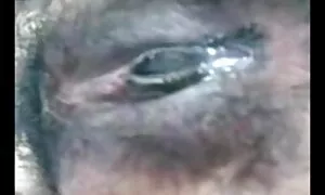 অফিস, সুন্দরী বালিকা, খেলনা জোর করে চুদাচুদী