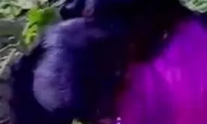 উভমুখি যৌনতার, বাংলা চুদাচুদী মেয়ে হিজড়া