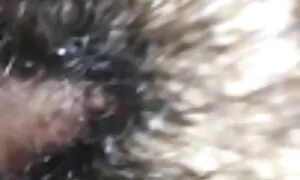 জাপানি, দুর্দশা, স্কুল, বালিকা চুদাচুদী বিডিও