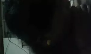 স্বামী ও বাংলা চুদাচুদী স্ত্রী