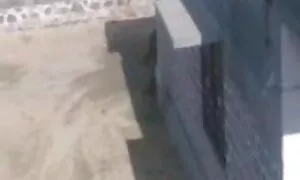 হার্ডকোর, বাংলা দেশী চুদাচুদী ব্লজব, দুর্দশা,